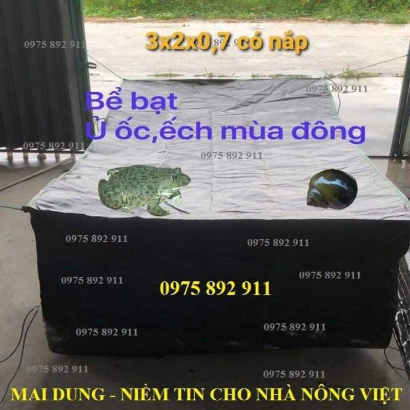 Bể bạt ủ ếch, ủ ốc nhồi, bóng úm ếch, dành cho vụ đông