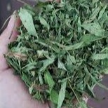 1 Kg Cỏ Ngọt sấy khô nguyên chất.