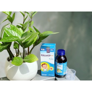 ✅[Chính hãng] Pullaco Siro - Hỗ trợ giảm đờm giảm ho