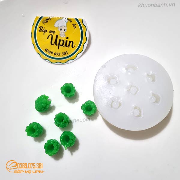 Khuôn silicon mẫu mâm xôi việt quất to nhỏ
