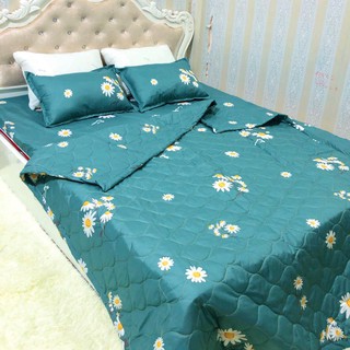Set 4 Món Chăn Hè Trần Bông Ga Chun 2 Vỏ Gối Mẫu HOẠ MI XANH