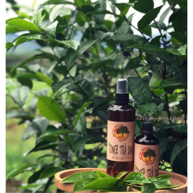 TONER TRÀ XANH