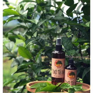 Toner trà xanh