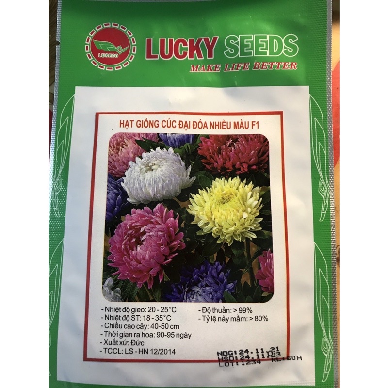 Hạt Giống Hoa Cúc Đại Đoá Nhiều Mầu F1