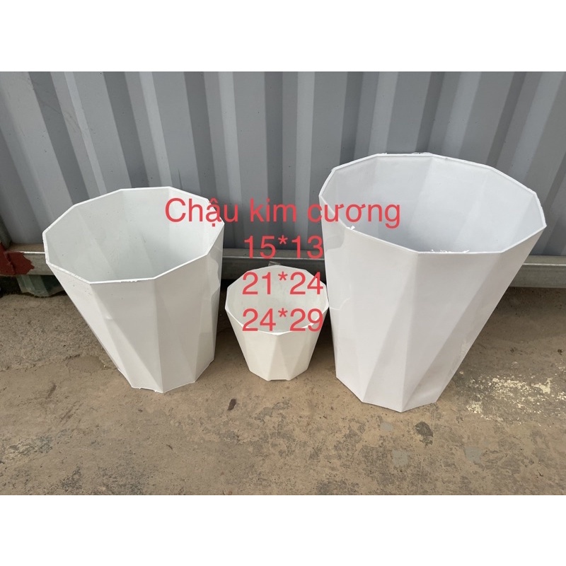 Chậu kim cương