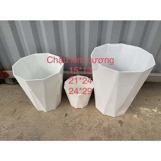 Chậu kim cương