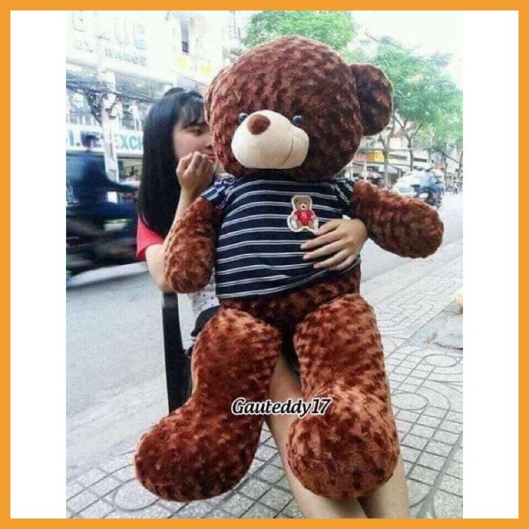 Gấu Bông Teddy To Bự, Gối Ôm Thú Nhồi Bông Khổng Lồ Lông Xù, Chất Liệu Vải Nhung Co Dãn 4 Chiều Kích Thước 1m5-1m8