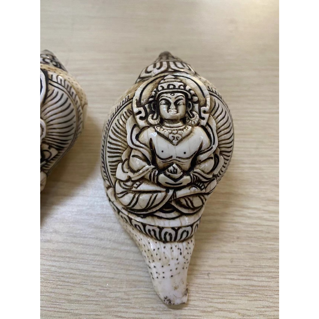 Ốc Biển chạm Nepal 10cm