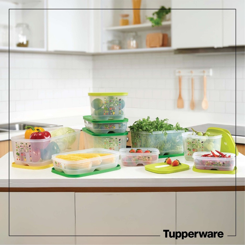 Hộp Tupperware Ventsmart Trữ Mát 800ml / 1.8l / 4.4l / 6.1l Chất Nhựa Nguyên Sinh Cao Cấp An Toàn