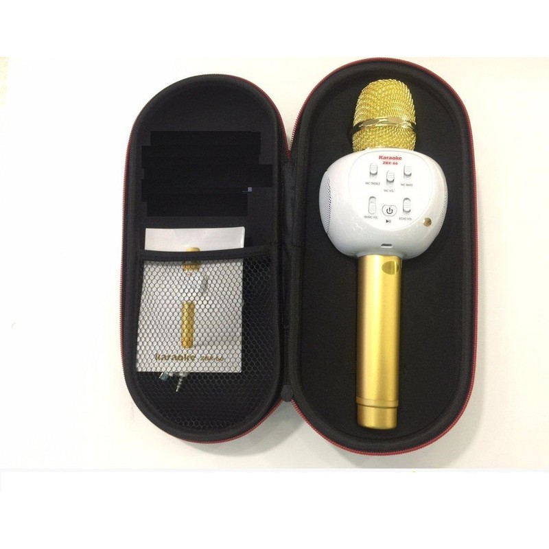 Mic Karaoke ZBX-66