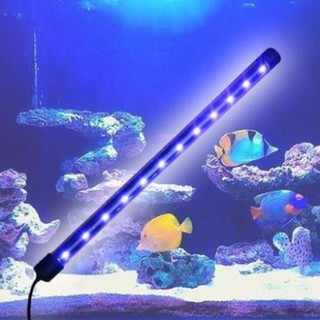 Đèn led chìm hồ cá 30cm