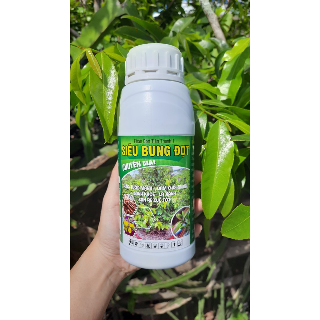 Phân bón Siêu bung đọt chuyên Mai Vàng công thức mới chai 500ml