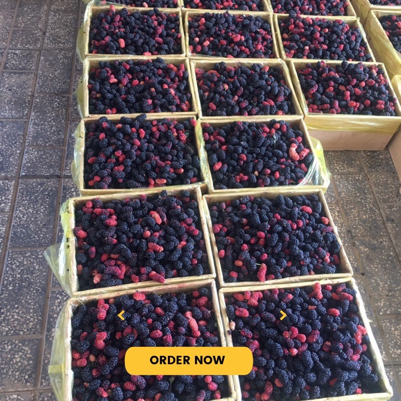 Dâu tằm tươi Đà Lạt hộp giấy 3kg - Nhận buổi Tối - hái trong ngày | BigBuy360 - bigbuy360.vn