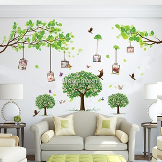 Decal cây xanh khung ảnh N340