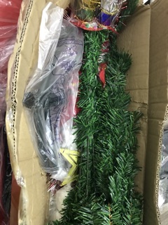 Cây thông noel