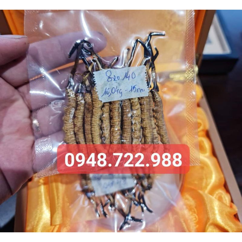 Quà Biếu Thượng Hạng - Đông Trùng Hạ Thảo Na Khúc Tây Tặng