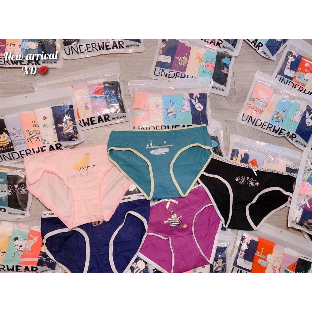 Quần lót nữ set 5 quần chip kute Underwear xuất dư chất cotton 4d co giãn thấm hút tôt