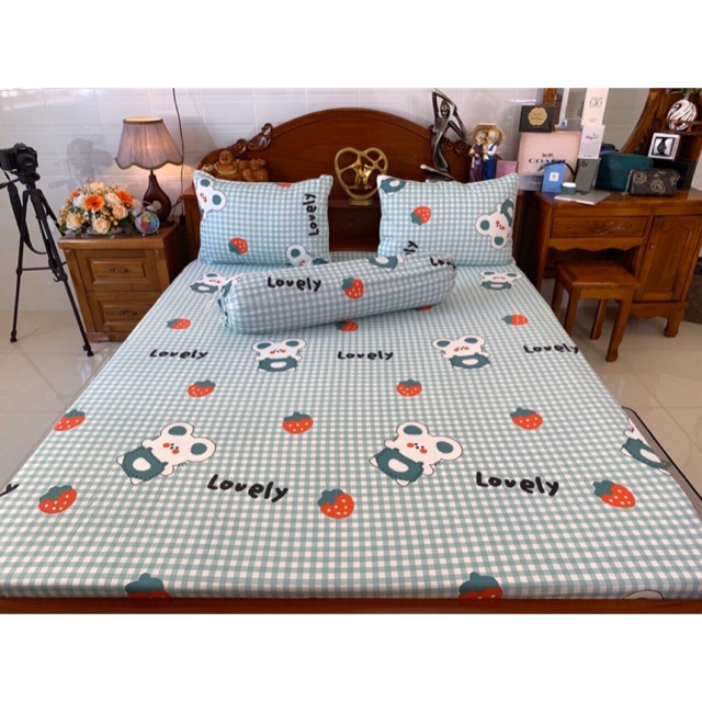 Drap cotton Hàn Quốc