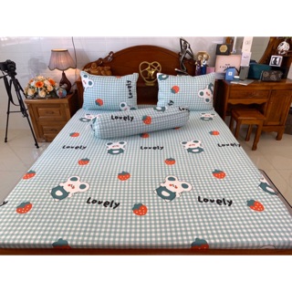 Drap cotton Hàn Quốc