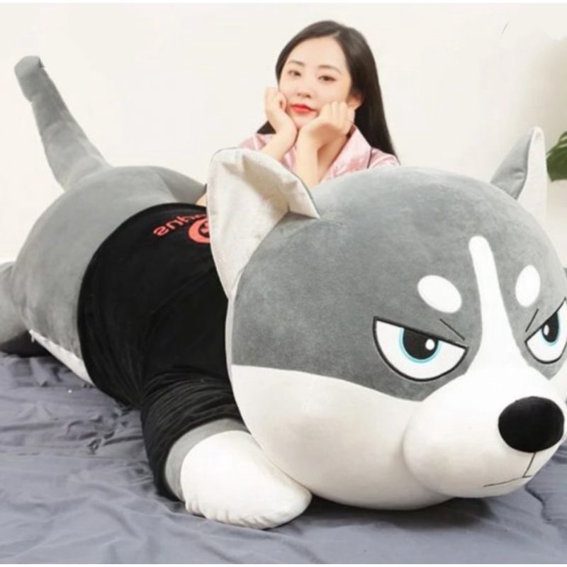 chó ngáo nhồi bông,chó husky, gối ôm chó