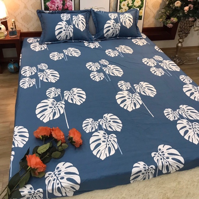 Com bo 2 bộ ga 1,8m x2m