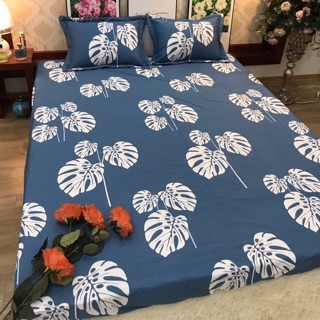 Com bo 2 bộ ga 1,8m x2m