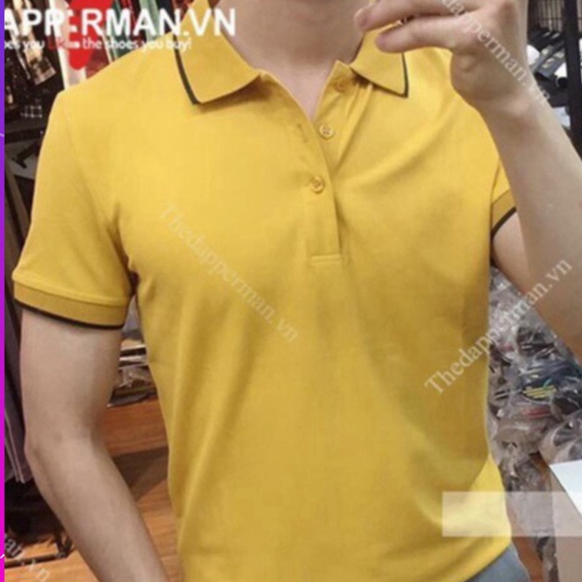 Áo Polo Nam Vải Cá Sấu Chất Cotton - Màu Vàng | BigBuy360 - bigbuy360.vn