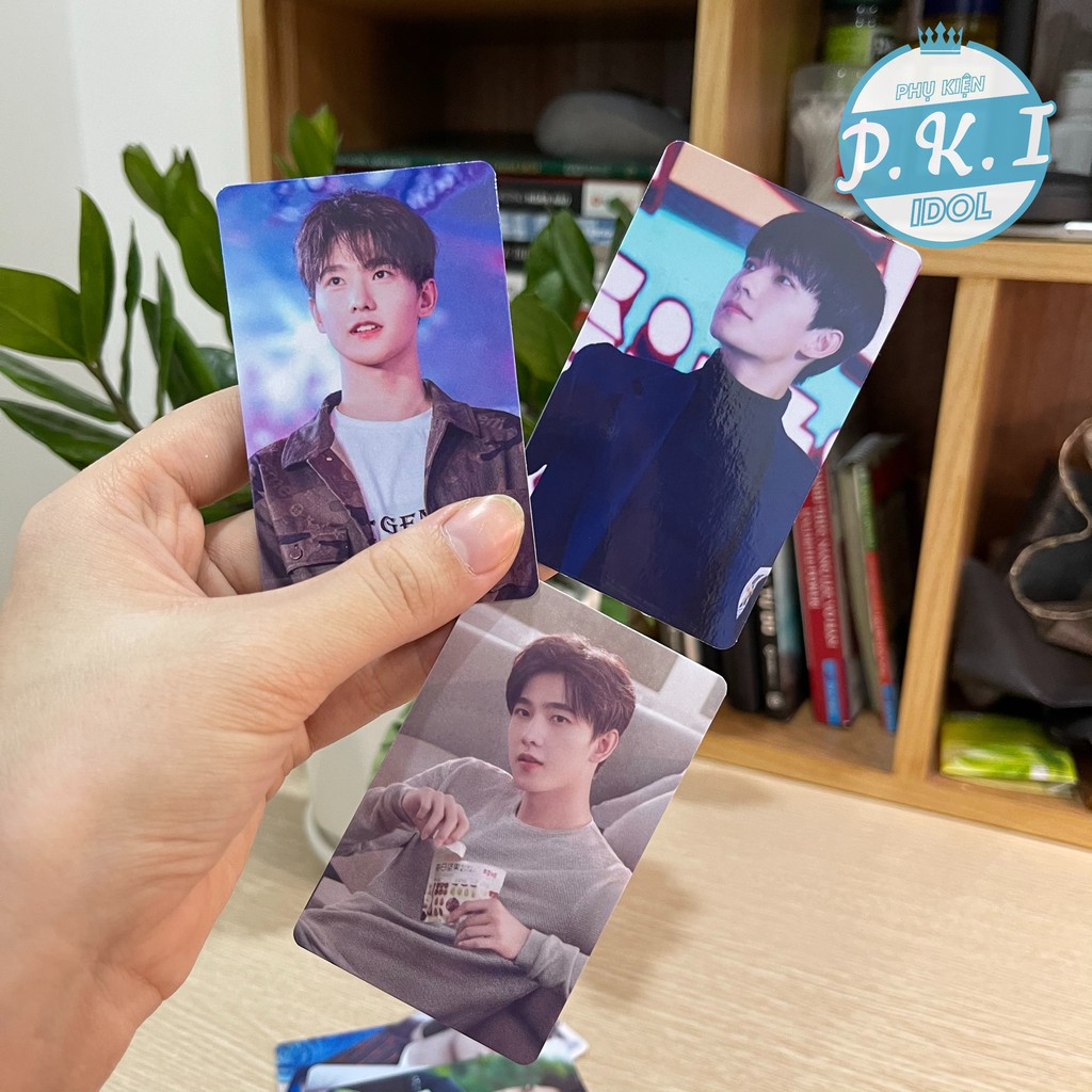 Bộ Card Thẻ Dương Dương - Ảnh Dương Dương Bo Góc ÉP LỤA - 3 SET TÙY CHỌN