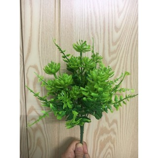 Cây giả - Cây lá thông trang trí tiểu cảnh