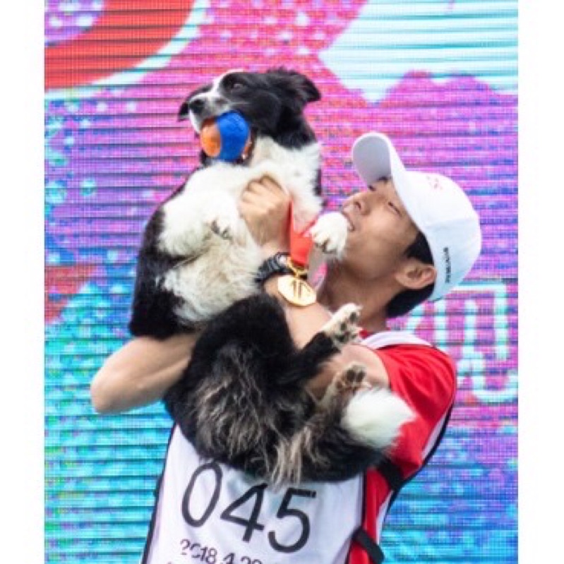 Gigwi Bóng nảy có tiếng G-ball cho cún