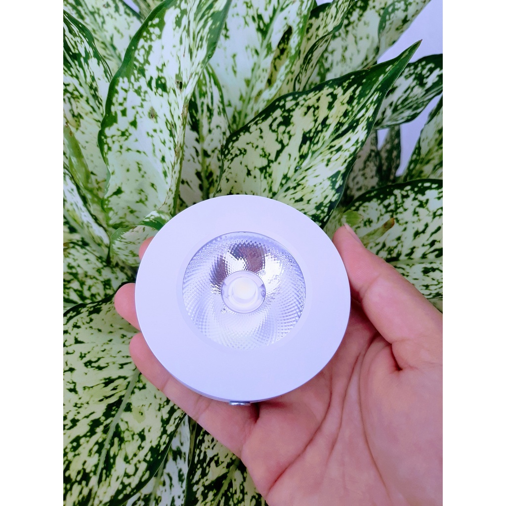 Đèn Led Ốp Nổi Trang Trí Màu Vàng/Đen/Trắng 5W, Trang Trí Tủ Rượu, Tủ Kính Trưng Bày.