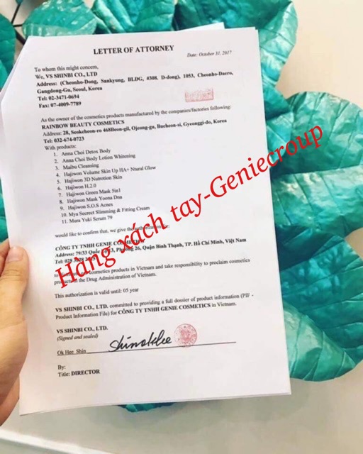 Combo Viên tan mỡ giảm cân x5 diet pro extra ,Slim recipe,belly derma genie | BigBuy360 - bigbuy360.vn