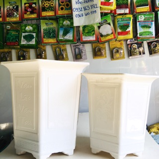Chậu Lục Giác Nhựa Trắng, chậu 6 cạnh, Chậu Kiểng (3 size Lớn)