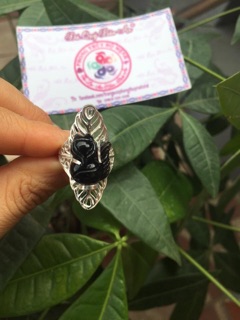NHẪN HỒ LY ĐỘC LẠ
