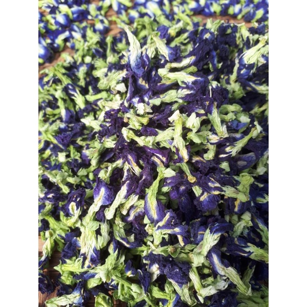 DEAL 1K - 5 hạt giống hoa đậu biếc kép