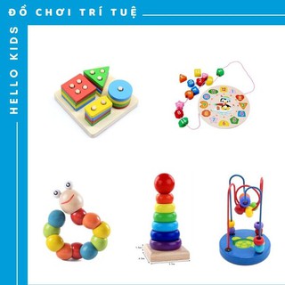 Combo 5 Món đồ chơi trí tuệ, đồ chơi giáo dục sớm và phát triển kỹ năng cơ bản cho bé.