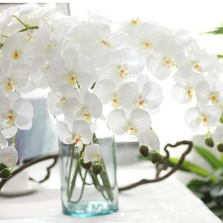 Hoa giả - Cành lan hồ điệp giả giống thật đến 99% với vẻ đẹp sang trọng.