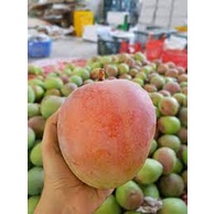 Xoài Úc  quả to thơm ngon ngọt - giao Hỏa Tốc