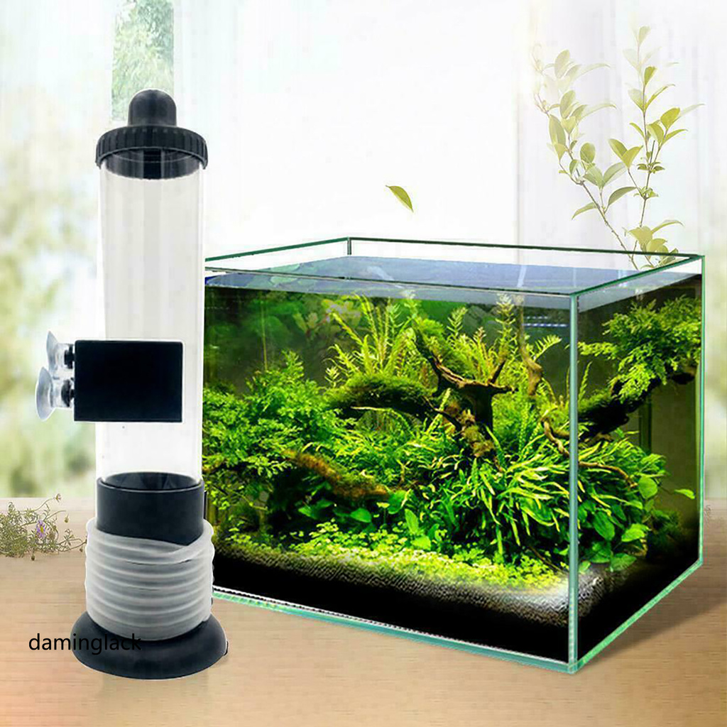daminglack Incubator Waterproof Transparent Tank Plastic Adjustable Shrimp Hatcher for Shrimp Eggs