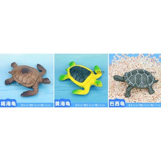 tion turtle model toy tortoise Brazilian turtle marine life animal props children’s toys early education turtle tahaya09