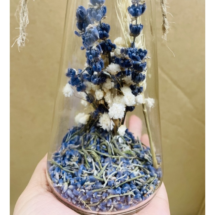 Lọ Hoa Khô Lavender Thơm Mix Baby, Lúa Mạch( Có Nắp)