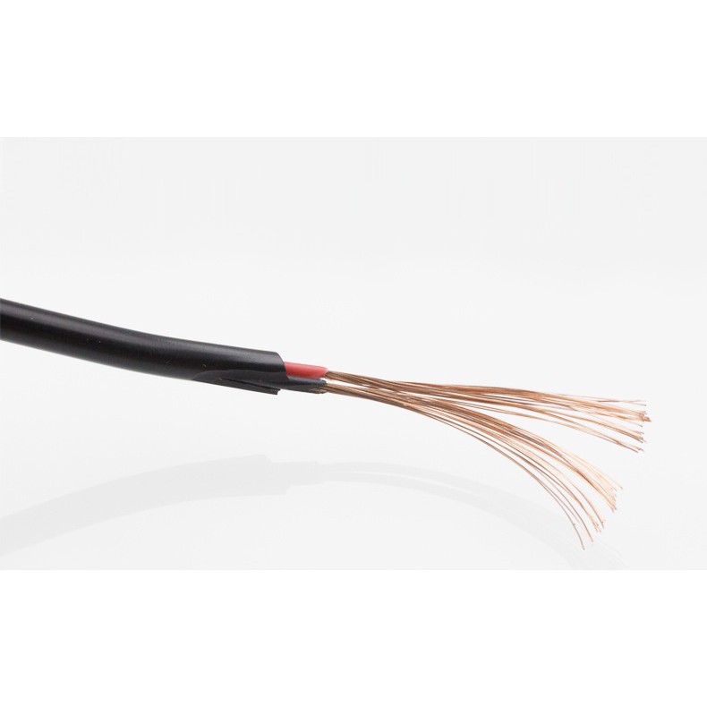 Nguồn cho camera hành trình 5V 2A 3.5M Micro USB