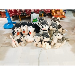 Gấu bông của Nhím Bé