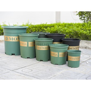 Chậu Monrovia VIỆT NAM 1GL