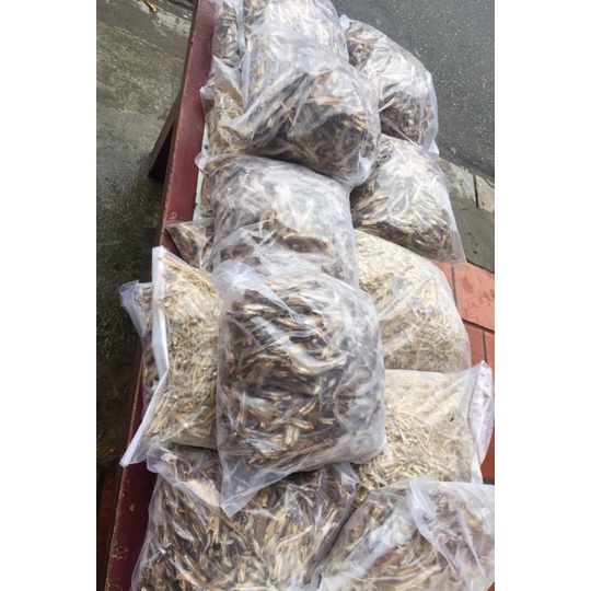 1kg cá cơm khô loại 1 bẻ đầu _ sạch sẽ ngon thơm _ biển Cửa Lò