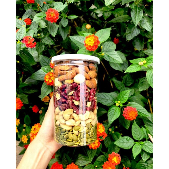 Hạt Dinh Dưỡng 500g Mix 5 Loại Hạt