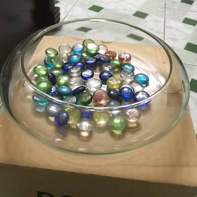 Bể thủy tinh trồng cây thả cá