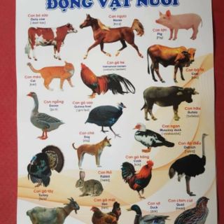 Bộ tranh treo tường cho bé