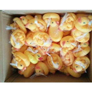 gia đình vịt tập bơi