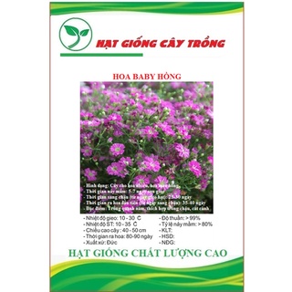 Hạt giống hoa baby hồng ct423 - gói 50 hạt